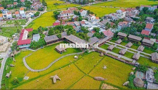 nhà view lúa mặt tiền an mỹ cẩm châu