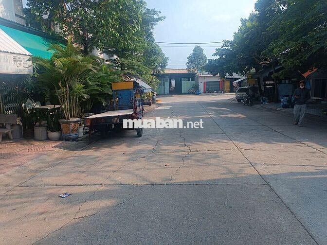 CC Bán Gấp Lô Đất Ngay Trung Tâm BD Dân  Đông Kín, SHR, Full 100% T/Cư