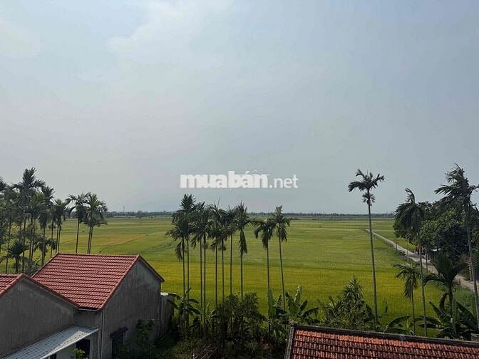 nhà view lúa mặt tiền an mỹ cẩm châu
