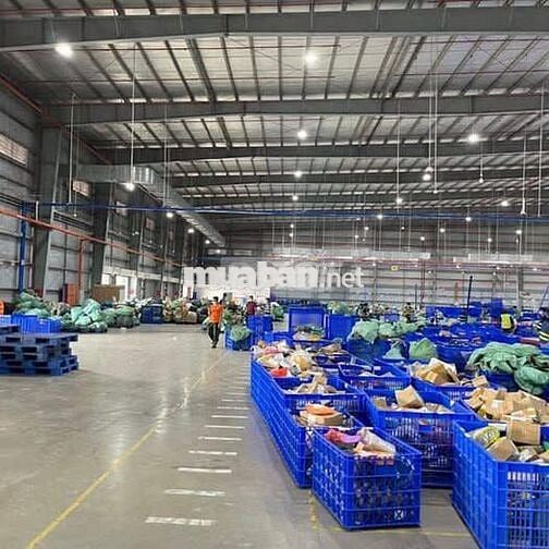 NHÂN VIÊN KHO PHÂN LOẠI - KHÔNG HỒ SƠ