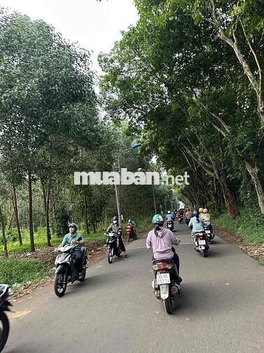 Vị trí gần KCN nhẹ 500ha đang đc mở rộng ở Long Khánh - TP Đồng Nai