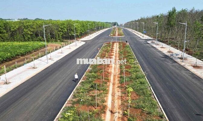 Vị trí gần KCN nhẹ 500ha đang đc mở rộng ở Long Khánh - TP Đồng Nai