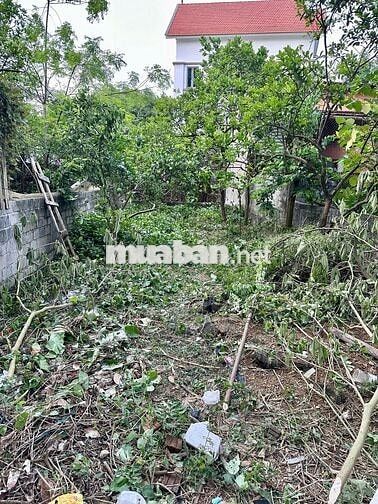 Bán 131m2 đất Đồi 1, Đông Phương Yên, Chương Mỹ - Cách QL6 chỉ 100m