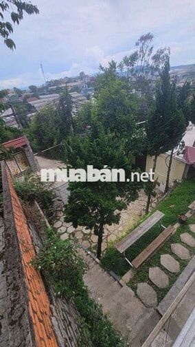  Bán nhà 300m² – 7PN – Trịnh Hoài Đức Đà Lạt – thích hợp homestay