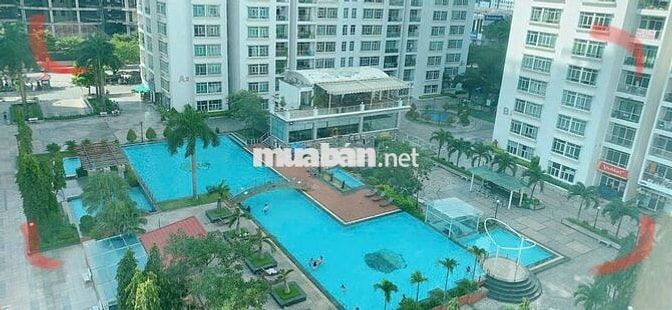 Phòng full nội thất Chung cư New Saigon giờ giấc tự do