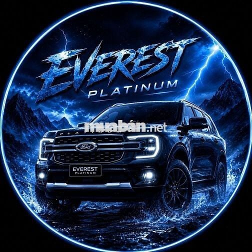 Ford Escape 2019 110000 km Đen