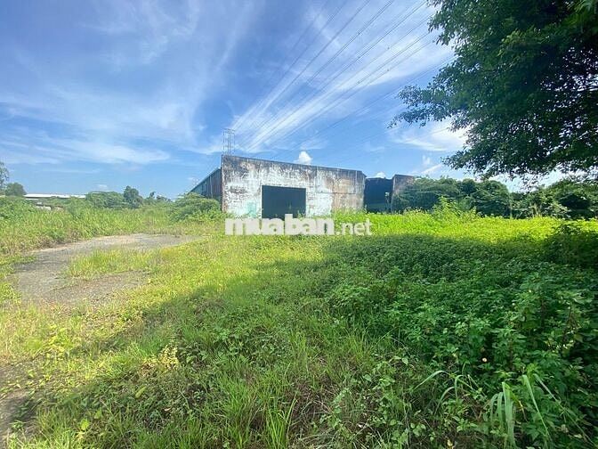 Cho thuê kho và đất 5700m² MT Võ Văn Bích Huyện Củ Chi