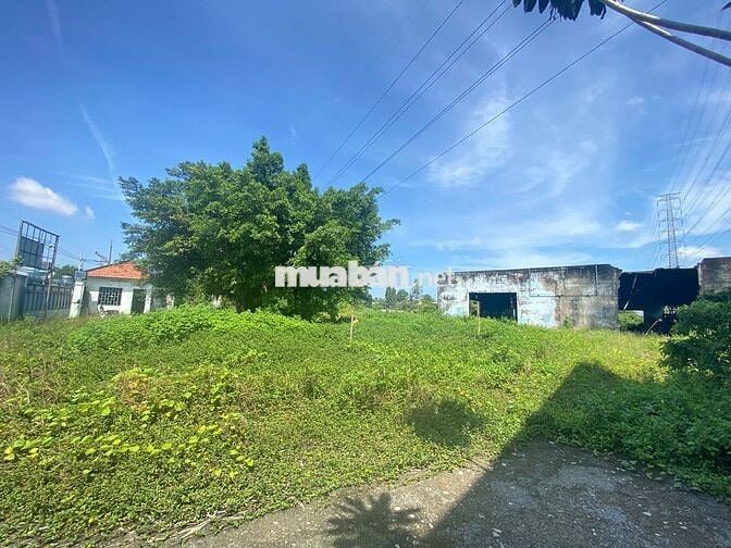 Cho thuê kho và đất 5700m² MT Võ Văn Bích Huyện Củ Chi