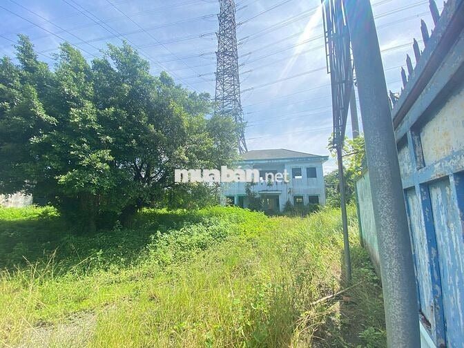 Cho thuê kho và đất 5700m² MT Võ Văn Bích Huyện Củ Chi