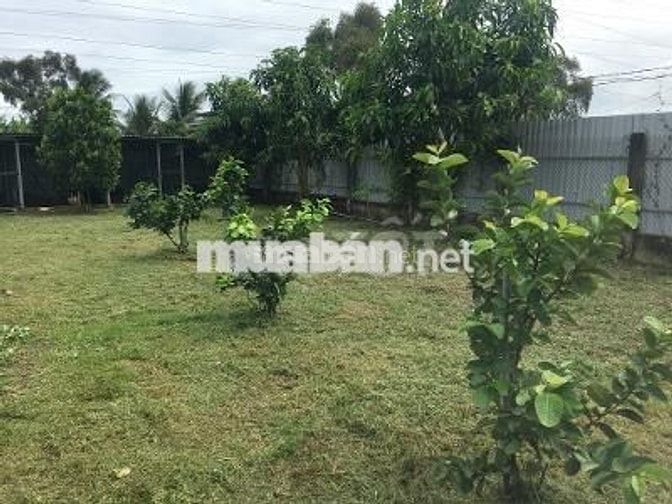 Nhà vườn khu dân cư hiện hữu khu quy hoạch đất ở nông thôn
