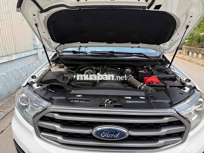 Ford Everest 2019 Ambient Trắng
