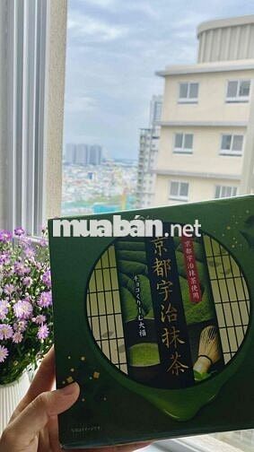 CHO NỮ THUÊ PHÒNG MASTER CĂN HỘ COSMO CITY QUẬN 7