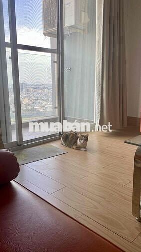 CHO NỮ THUÊ PHÒNG MASTER CĂN HỘ COSMO CITY QUẬN 7