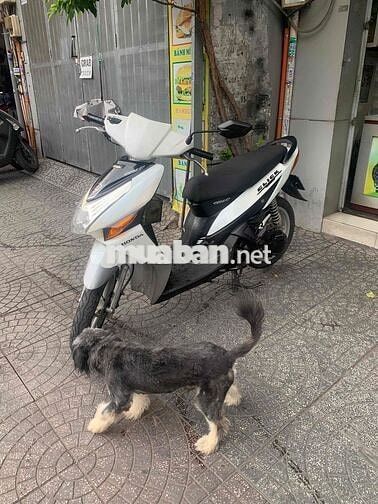 Honda Click Trắng biển số tp giấy tờ cà vẹt đầy đủ