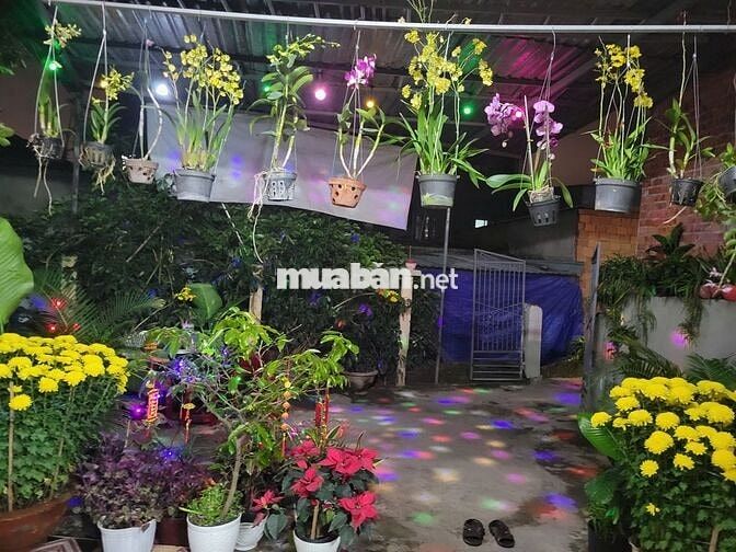 ĐẤT TẶNG NHÀ DIỆN TÍCH KHỦNG – NGAY TRUNG TÂM CẨM LỆ