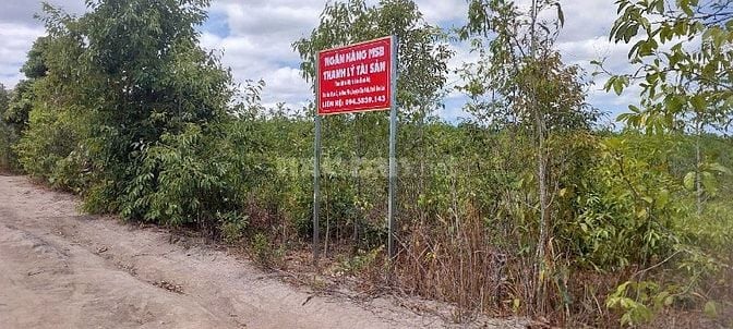 Công ty đấu giá hợp danh Sao Việt 