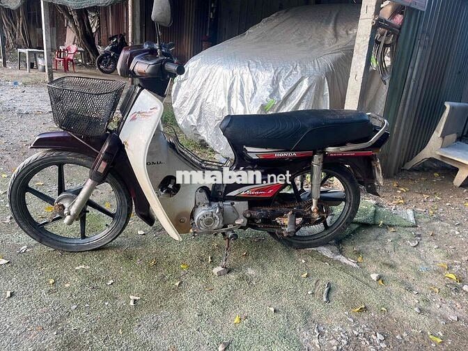 Honda Dream màu Đỏ mận
