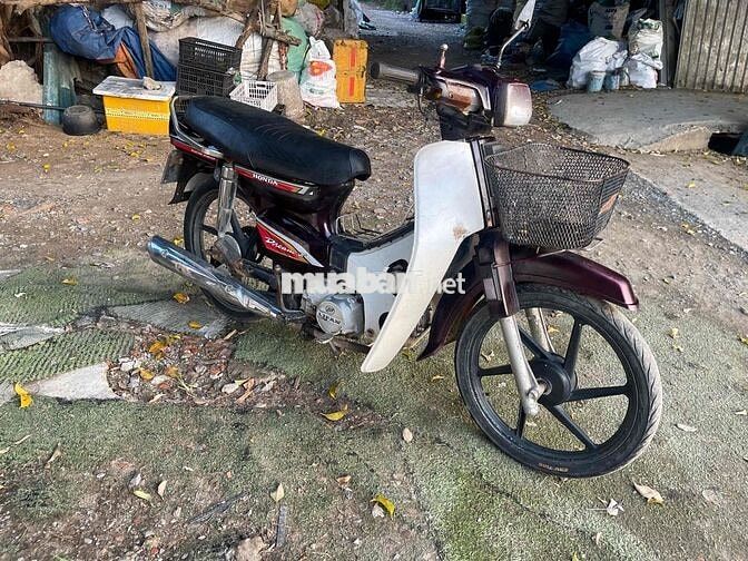 Honda Dream màu Đỏ mận