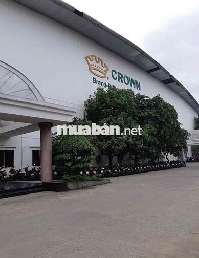 CROWN - Tuyển Vị Trí Checker