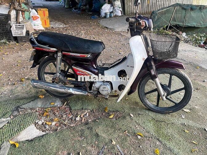 Honda Dream màu Đỏ mận