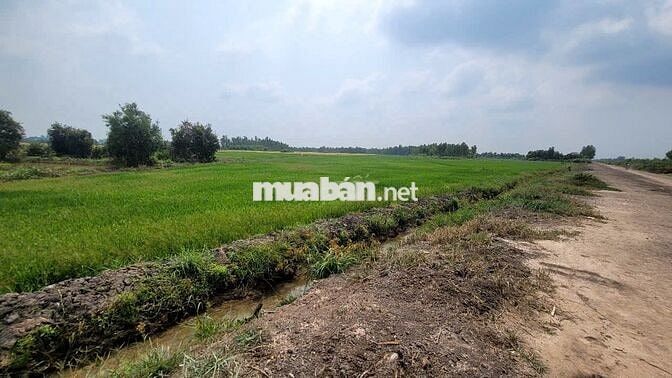 Chính chủ bán nhanh lô đất đất mặt tiền khênh 8. Vinhome Hóc Môn