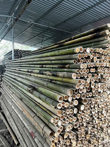 cho  thuê  giáo xây dựng và  bán sạp tre