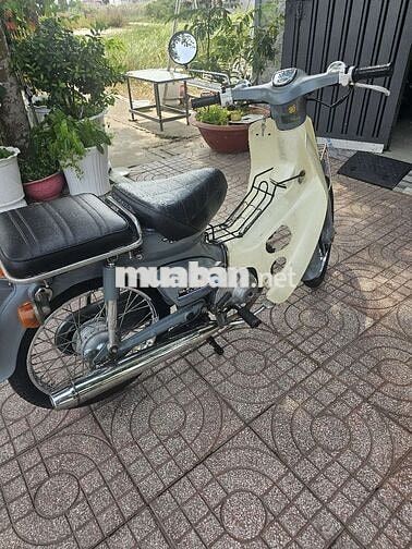 Honda Cup 81-50 Xám, Trắng kem