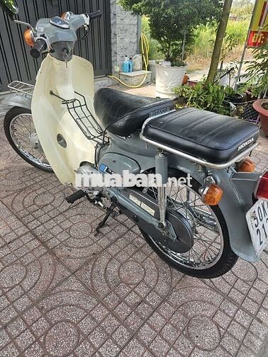 Honda Cup 81-50 Xám, Trắng kem