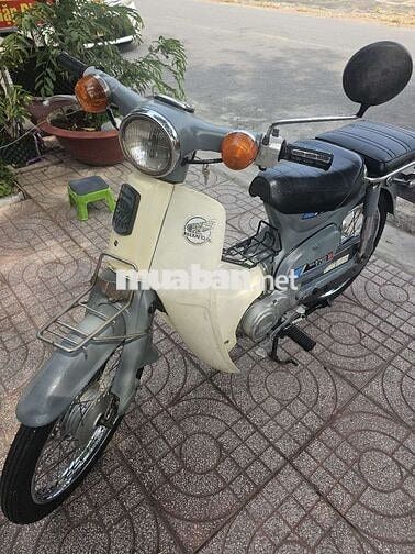 Honda Cup 81-50 Xám, Trắng kem