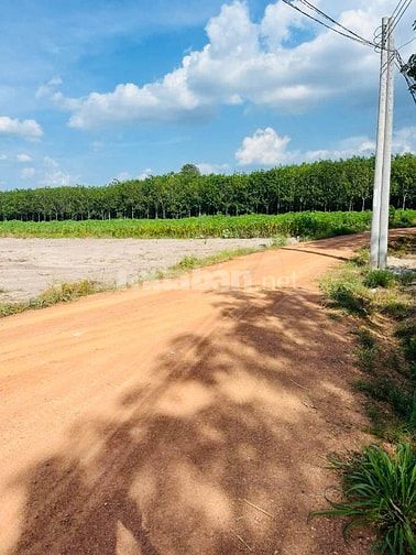 2487m2 đất thành phố Hồ Chí Minh Chỉ 699tr sang tên ngay