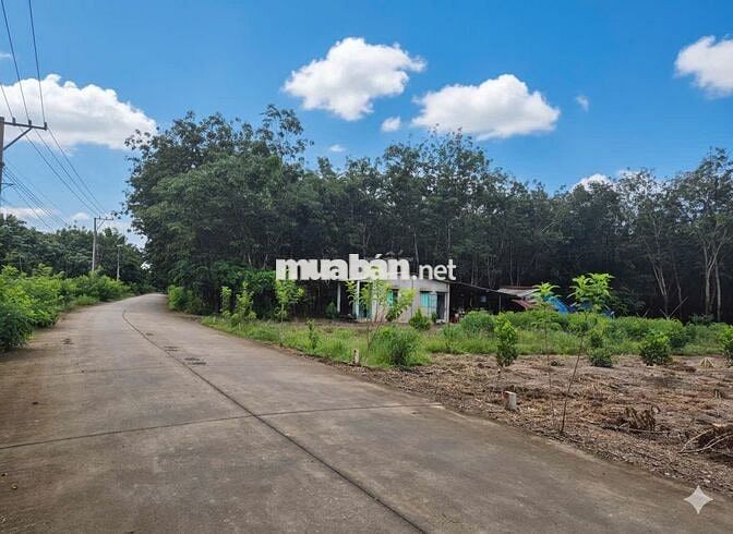 ĐẤT TP.HCM - CHÍNH CHỦ 338m2 sẵn 100m2 TC 580TR TL NGAY UBND TÂN HIỆP