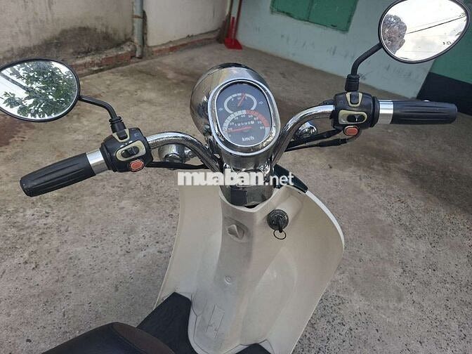 Cree Scoopy 2019 Xanh trắng