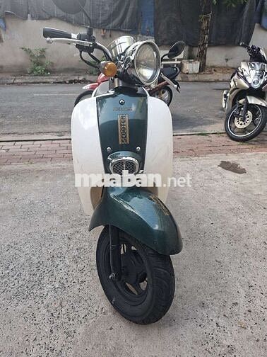 Cree Scoopy 2019 Xanh trắng