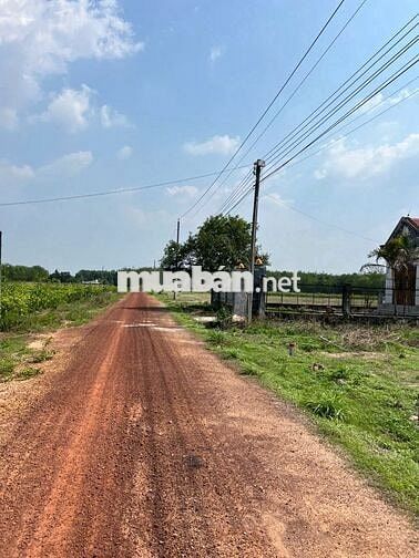 Kẹt tiền bán đất vườn 2142m2 giá 890tr xả phước thành HCM sổ hồng