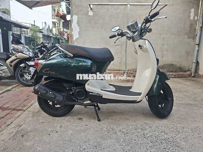 Cree Scoopy 2019 Xanh trắng