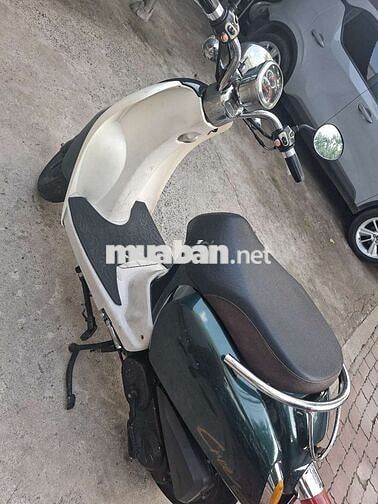 Cree Scoopy 2019 Xanh trắng