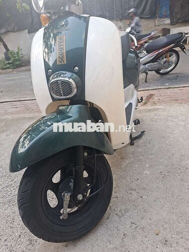 Cree Scoopy 2019 Xanh trắng