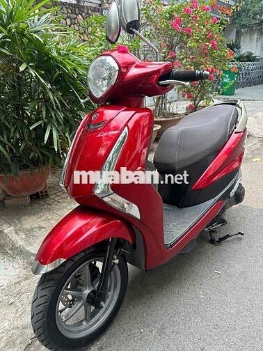 Latte 2021 Đỏ Smartkey. BSTP 1 đời chủ công chứng