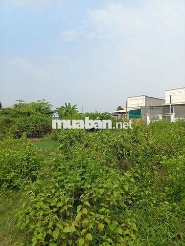 CHỈ 2,5TY/ 800M2 ĐẤT Ở KHU VỰC SÁT CHỢ HÒA BÌNH SỔ HỒNG RIÊNG, KDC