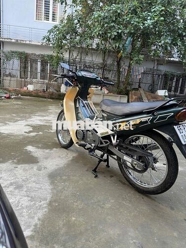 Xipo TL1C Cần Thơ