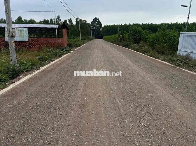 Thanh lý lô đất xã Láng Dài, huyện Đất Đỏ, BRVT giá CỰC TỐT