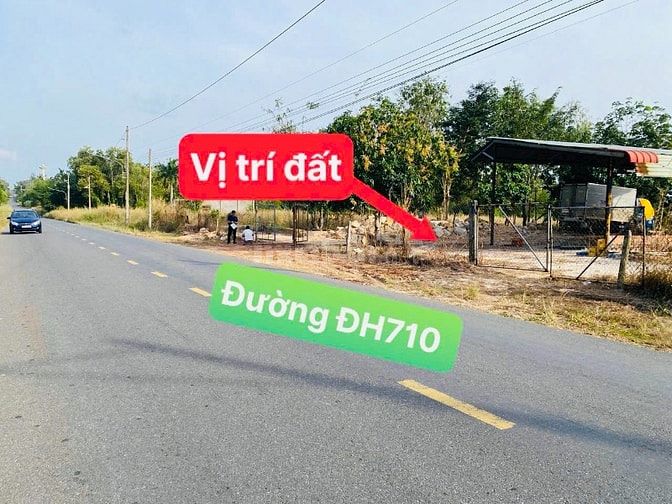 2782,5m2 đất thành phố Hồ Chí Minh giá cực kì rẻ