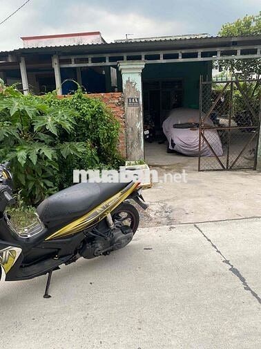 Yamaha Novo 4 Đen vàng