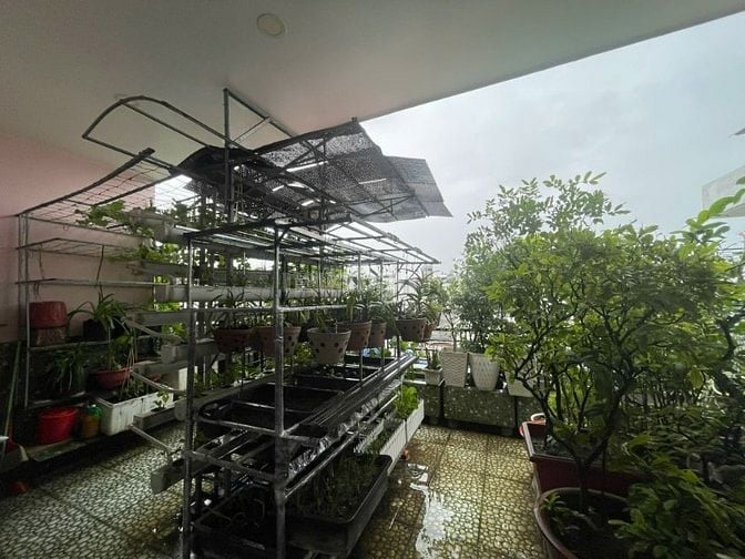NHÀ 3 TẦNG HẺM XE HƠI RỘNG - GẦN CHỢ, TRƯỜNG HỌC, BỆNH VIỆN | BÌNH TÂN