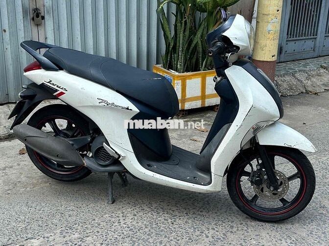 Yamaha Janus 2018 Trắng