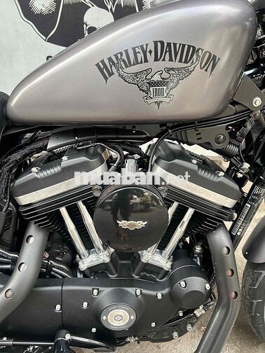 Harley-Davidson IRON883 2017 Xám