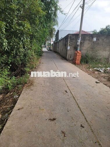 đất đẹp đường 5m xe tải vào ,DT 5m x 19m 