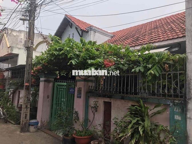 chính chủ cần bán gấp căn nhà đang sd 140m2,