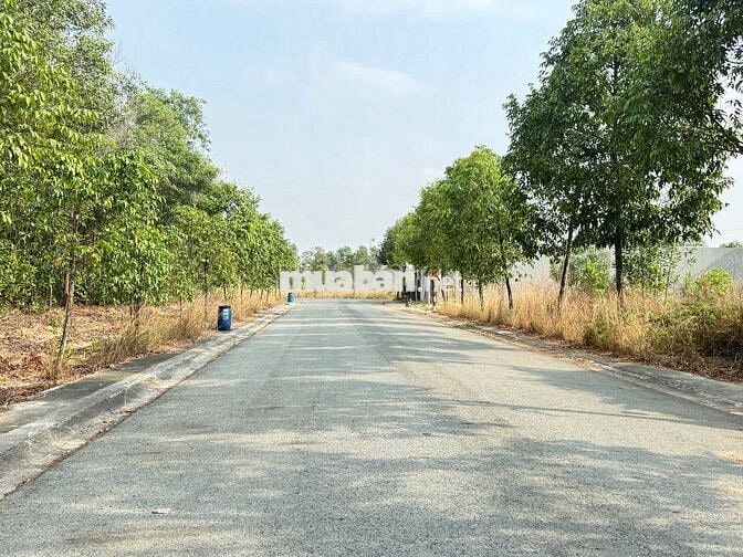 Bán đất giá rẻ Bến Cát 150m2/600tr. Đầu tư kinh doanh trọ có dòng tiền