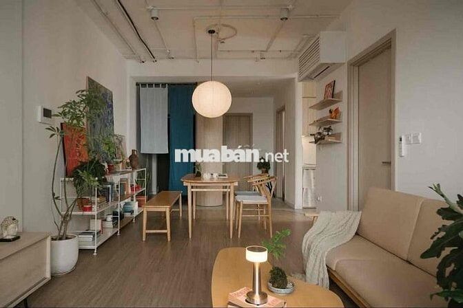 Duplex gác cao 2m rộng 40m2 có ban công gần q1q4q7q8 giảm 2 củ